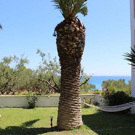 Panorama Studios & Apartments Amoudi Esterno foto